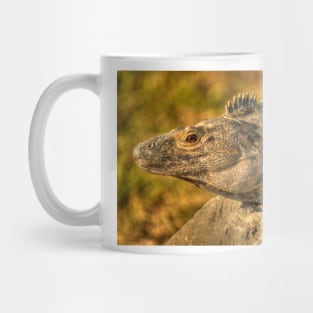 hli iguana Mug